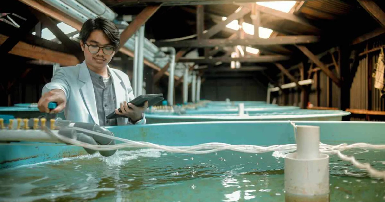 【年俸1,200万円以上】アトランティックサーモンの魚病管理を統括するシニア獣医師